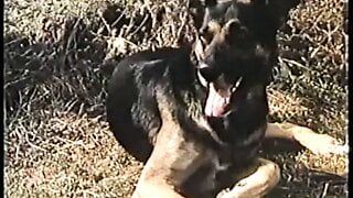 French Whores Of Pan